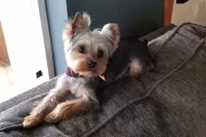 Chauncey-Von-Poops-a-Lot