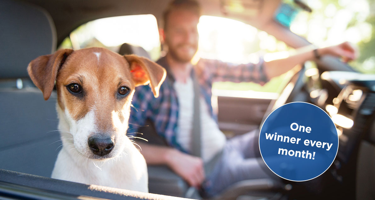 One winner every month!