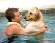 193retrieverinpoolwithboy
