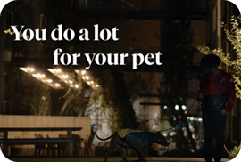 Nationwide human animal bond