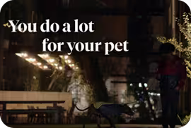 Nationwide human animal bond