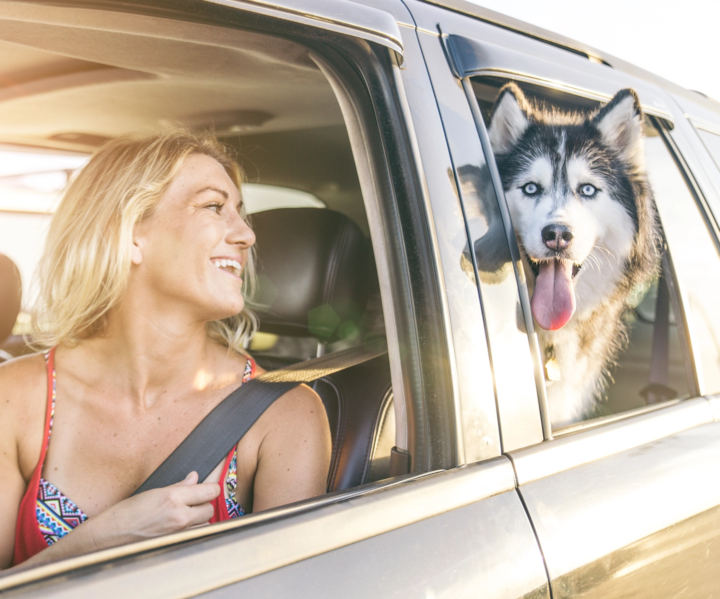 Pet vaccination insurance - woman in car with husky dog