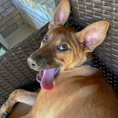 Molly From Corporate