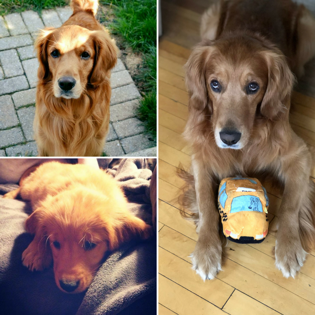 Collage1-8