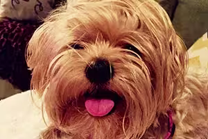 fiona