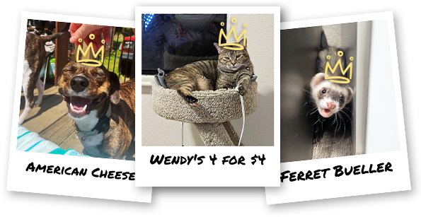 2025 Wacky Pet Names Winners