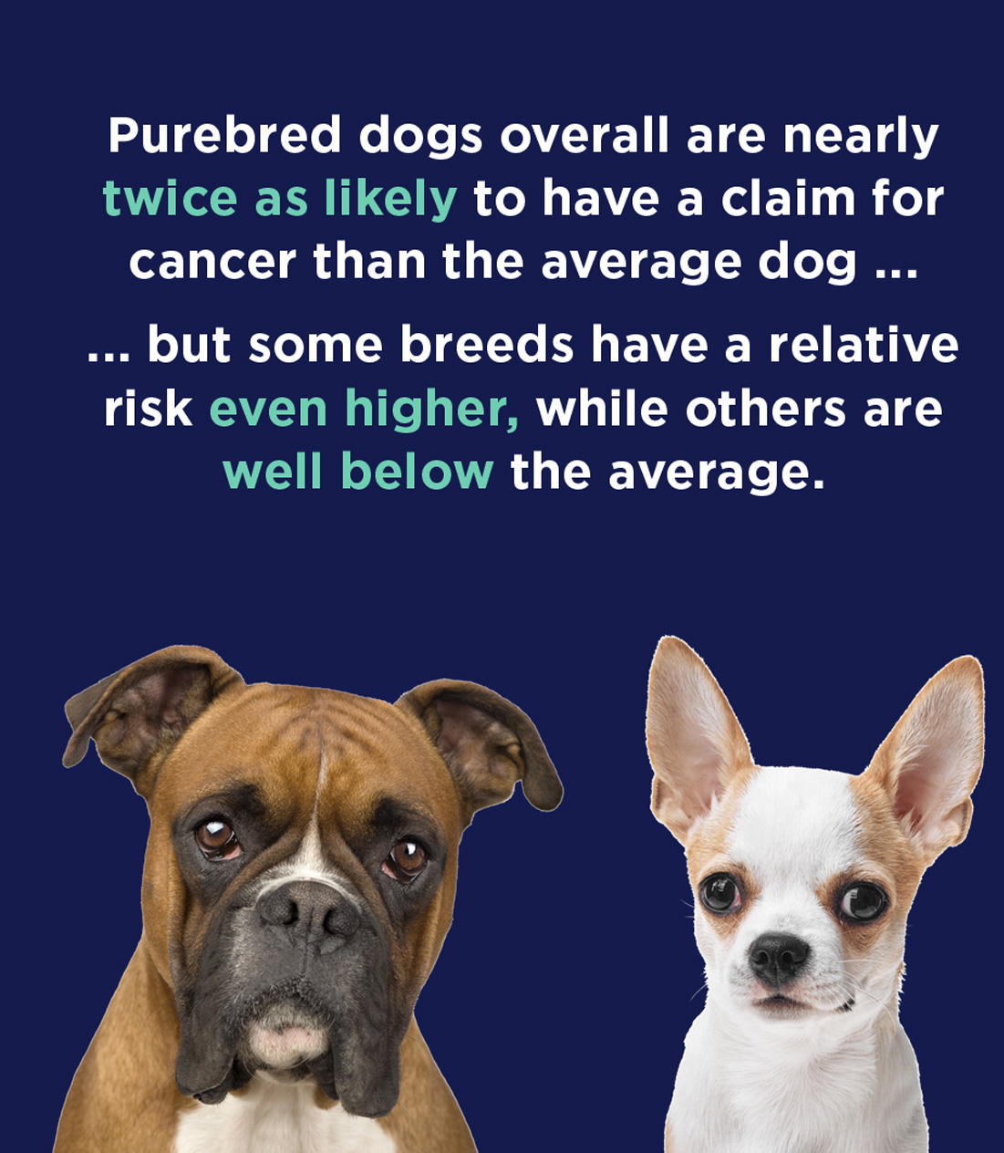 Relative risk image
