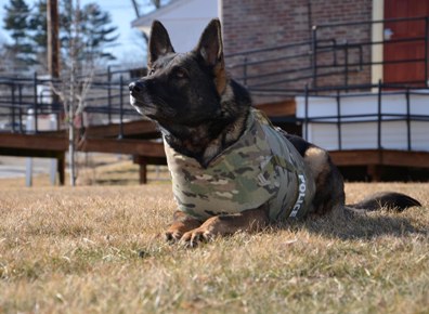 K9s1