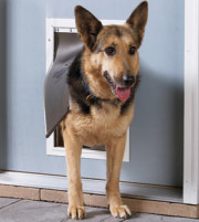 139petdoor