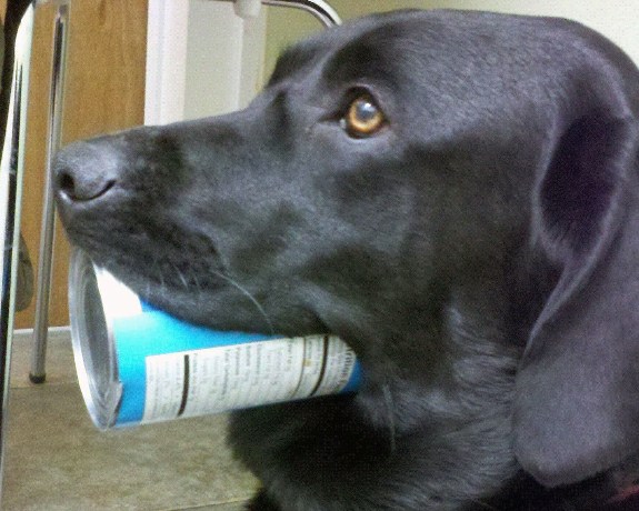 Stella-and-the-can1