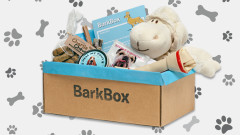 Monthly pet subscription deliveries have become more popular with options and customization. Judging by the popularity, these pet gift boxes have made many dogs and cats very happy.
BarkBox will deliver four to six treats customized to your dog’s needs (for instance, does your dog have allergies?) and a variety of pet toys and treats du jour. You can opt for a single delivery or subscribe to a three-, six- or twelve-month plan.
Meowbox operates similarly, with a one-, three- or six-month subscription plan. Treats and toys customized to your cat’s preferences.