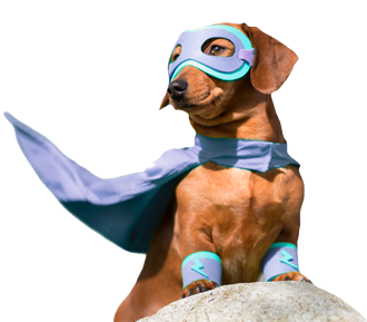 super dog