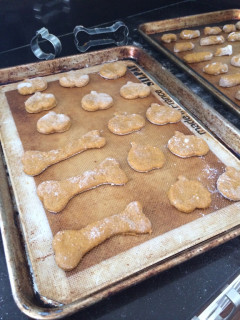 CookieTrayR2