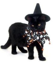 HalloweenCatWitch
