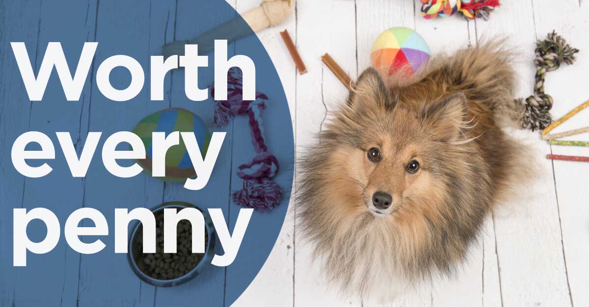 Treats September 2018