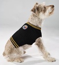 dog sweater pittsburgh