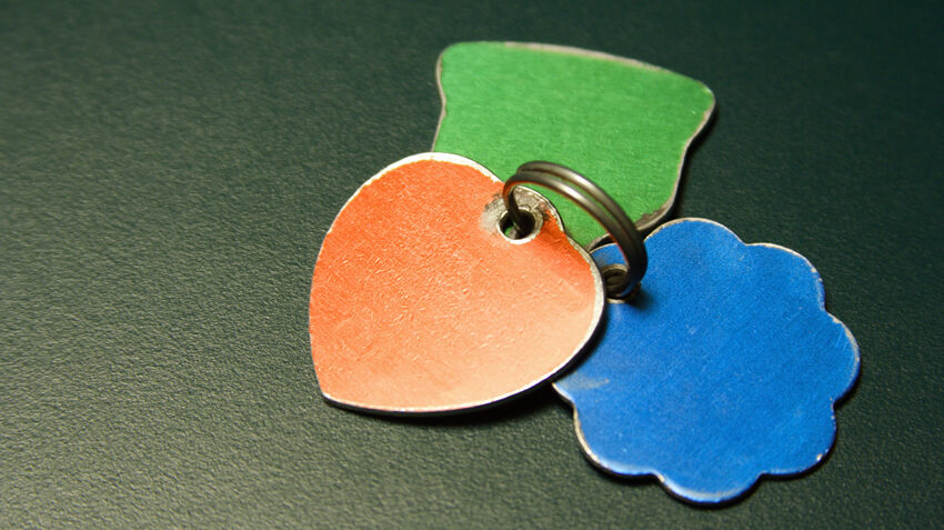 You don’t leave home without a proper ID, and neither should your pet. Make sure your cherished family companion wears a collar with current identification, including multiple phone numbers. If visiting family, consider having a new tag printed that also lists a local phone number. Also ensure that your pet is microchipped and that their microchip registration is current. Many pets escape without their collars and tags, and if they are far from home, a microchip may be their only chance of getting home.