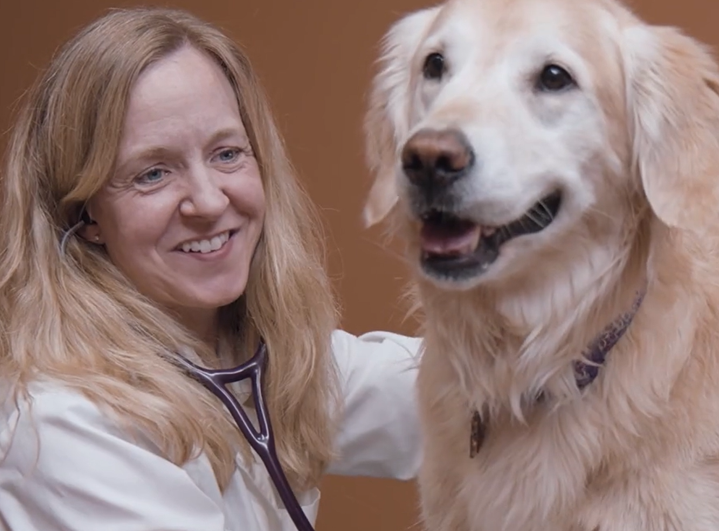 Nationwide pet insurance video