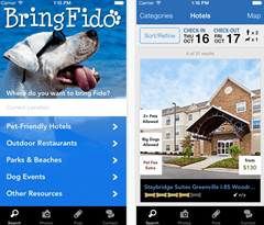 bringfido