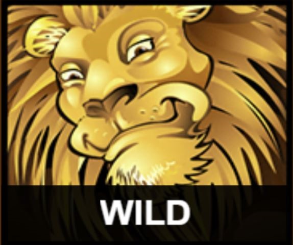 Mega Moolah slot review - Lion symbol