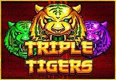Triple Tigers slot game (small)