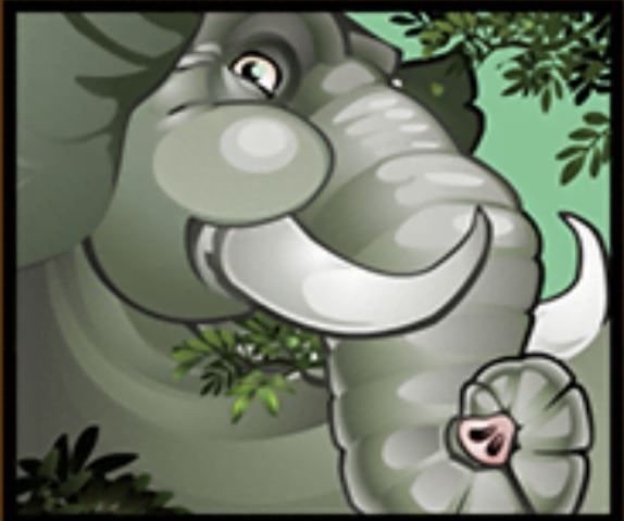 Mega Moolah slot review - Elephant symbol