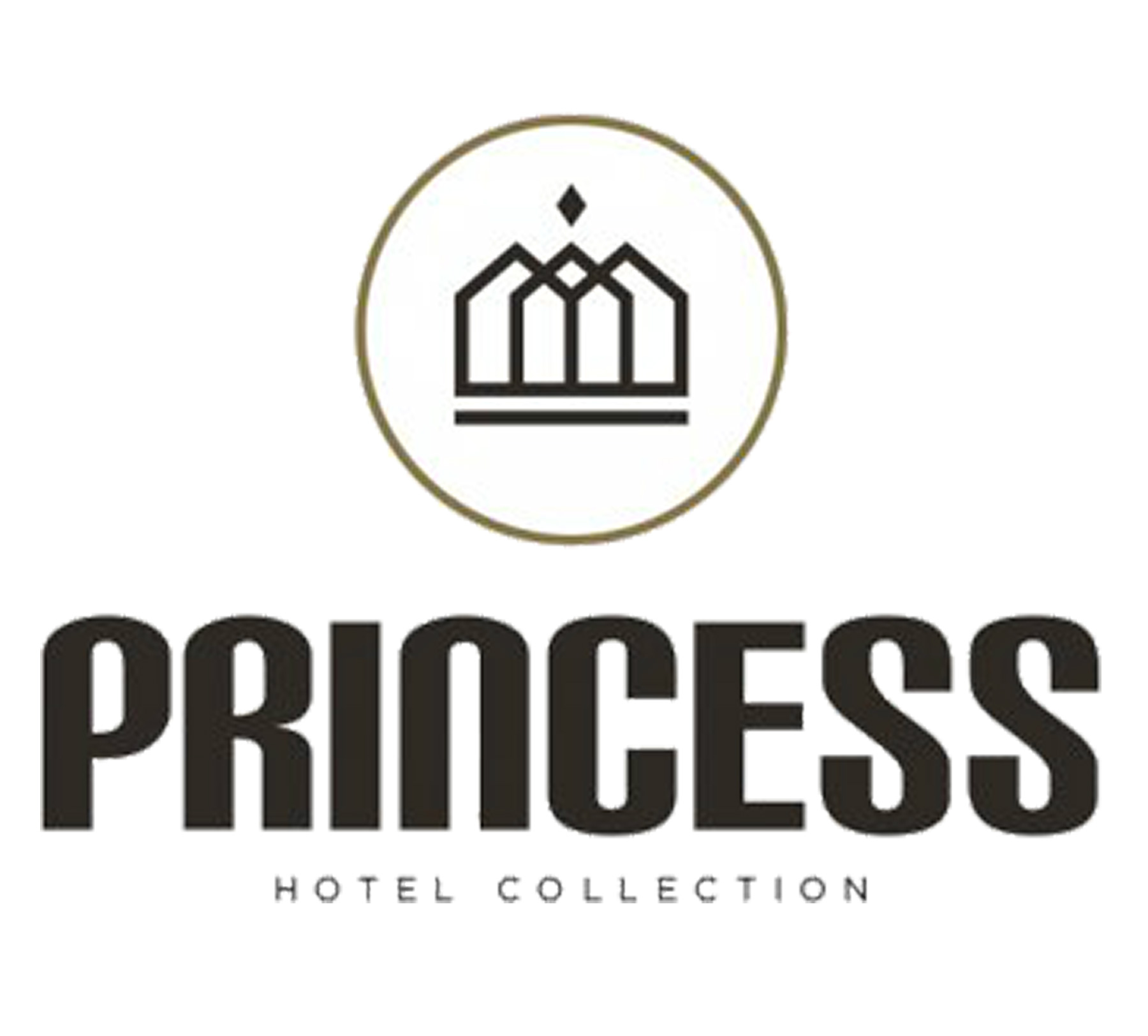 Logo Princess