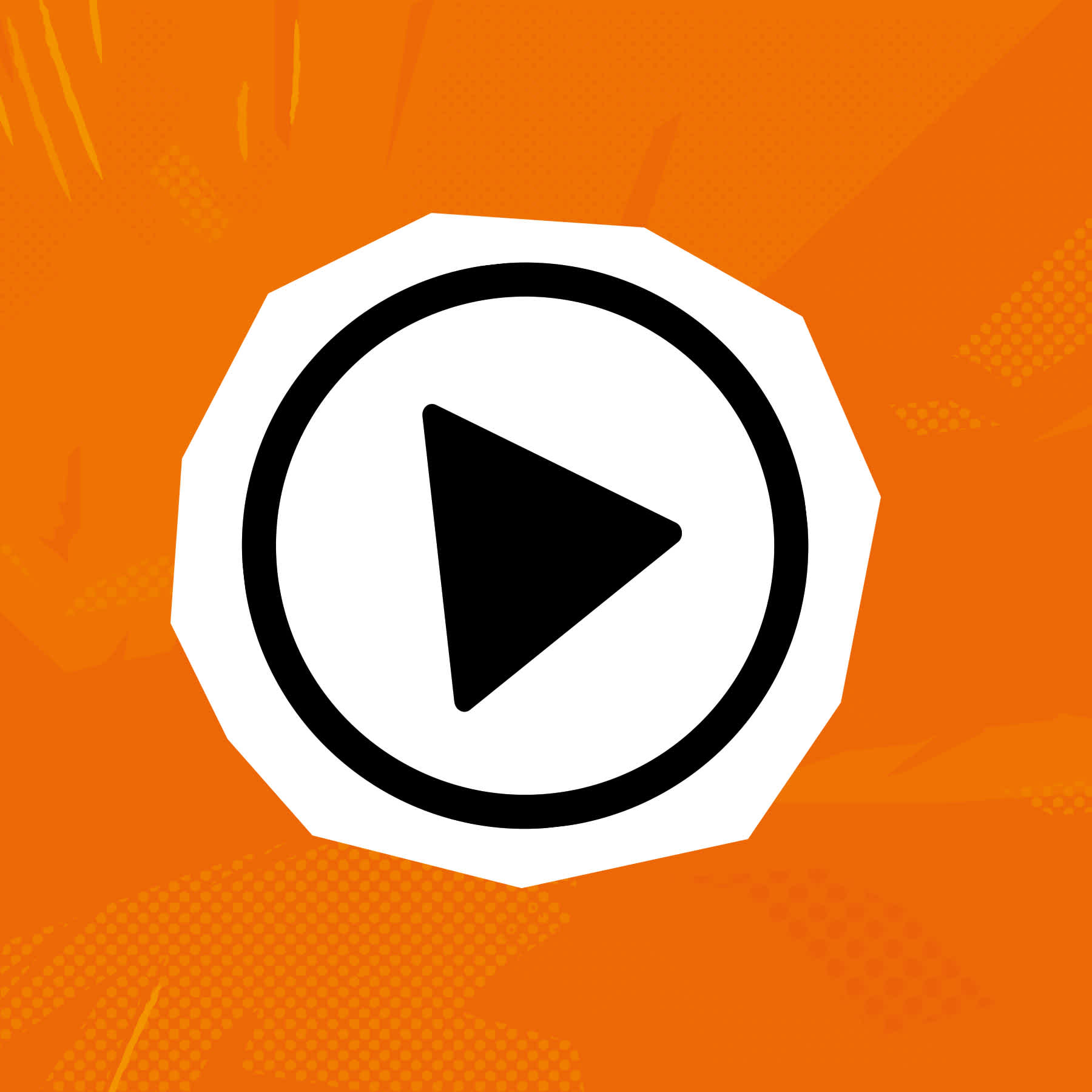 videohandleidingen