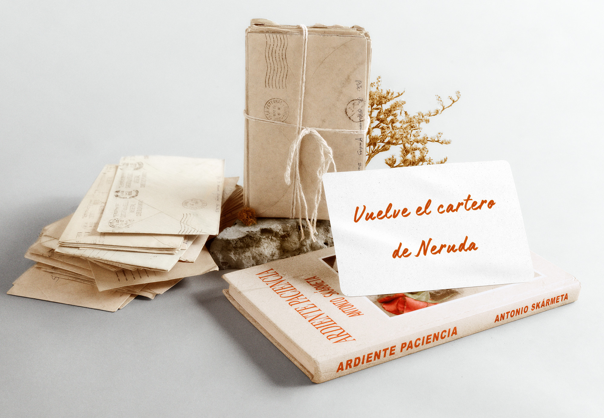 Ardiente paciencia anuncio proyecto