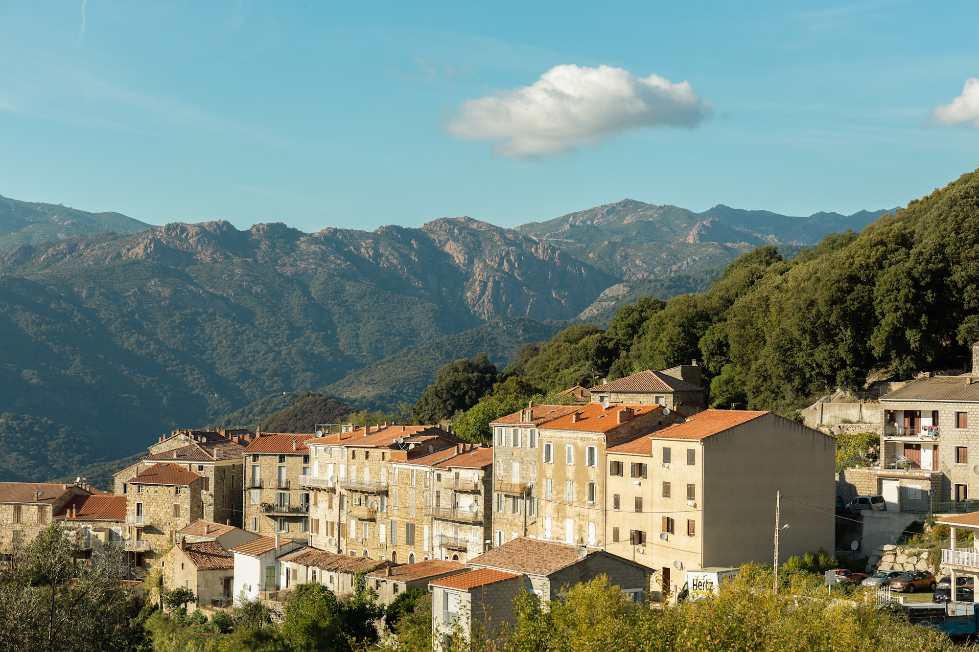 Cultural Affinity France