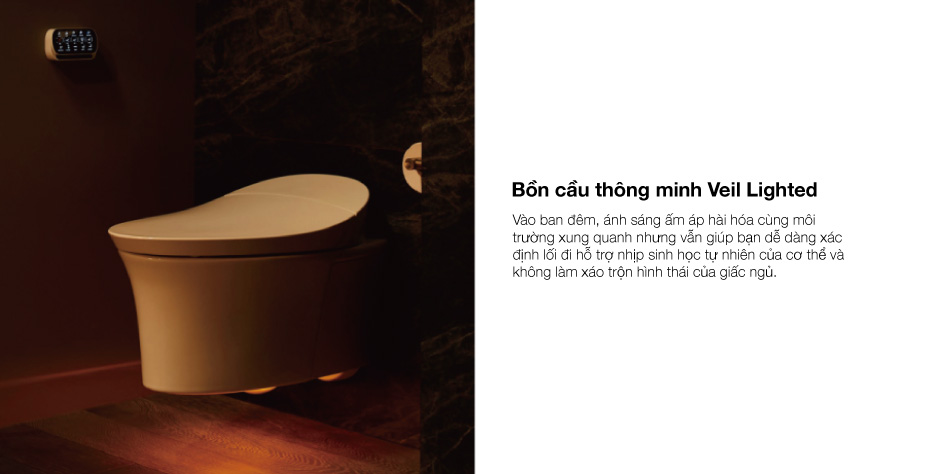 Veil Lighting Intelligent Toilet