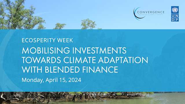 Mobilising Investments Towards Climate Adaptation with Blended Finance