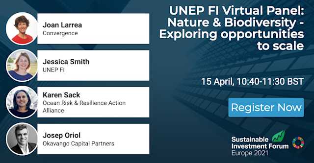 UNEP FI Panel on Nature & Biodiversity