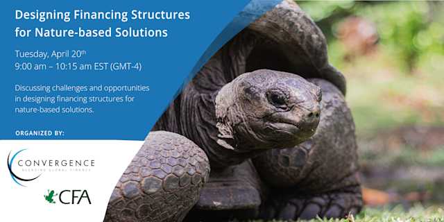Designing Financing Structures  for Nature-based Solutions (US/Europe)