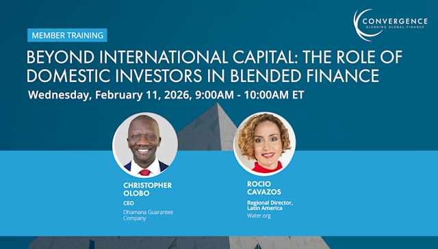 Member Training: Beyond International Capital - The Role of Domestic Investors in Blended Finance