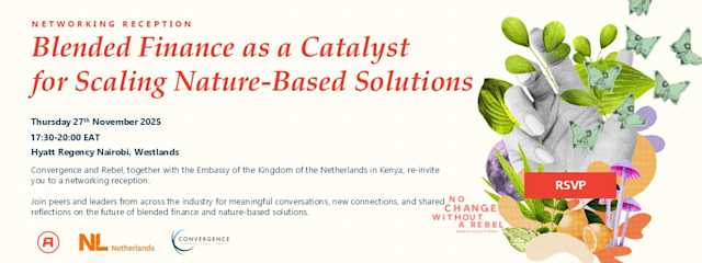 Networking Reception: Blended Finance as a Catalyst for Scaling Nature-Based Solutions