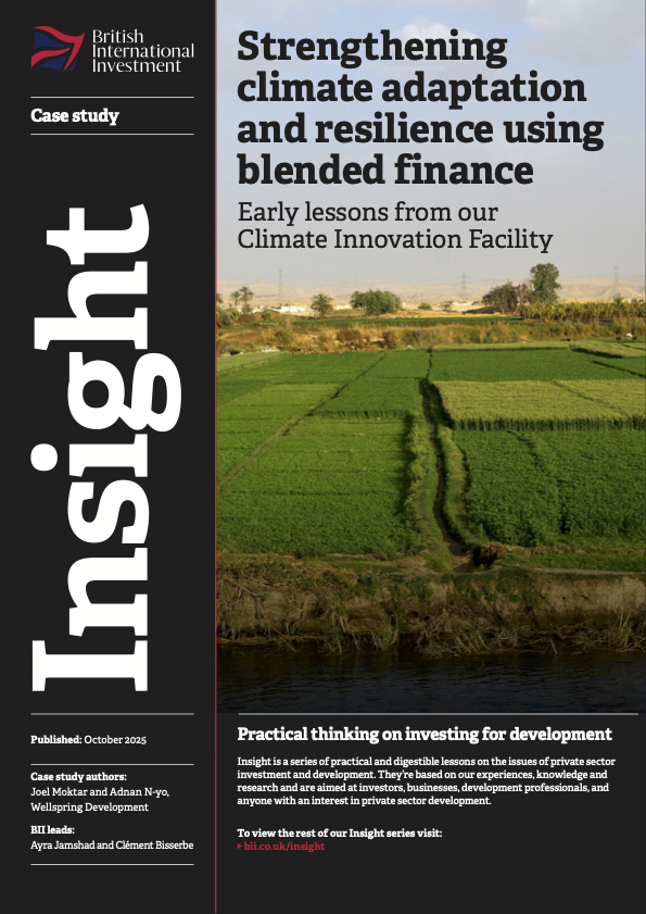 Strengthening climate adaptation and resilience using blended finance