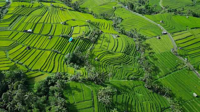 Semi-Finalists Announced: The Indo-Pacific NGO Blended Finance Accelerator First Call for Proposals