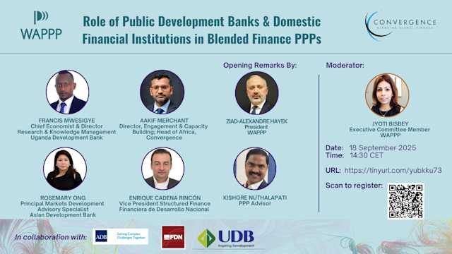 Role of Public Development Banks & Domestic Financial Institutions in Blended Finance PPPs