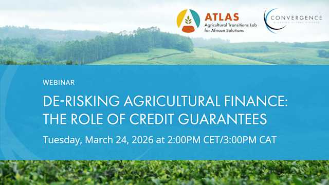 De-risking Agricultural Finance: the Role of Credit Guarantees