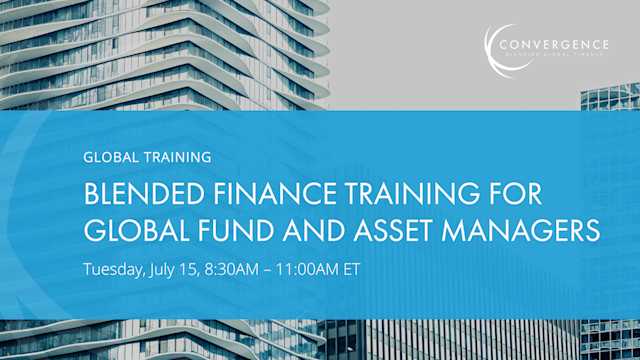 Blended Finance Training for Global Fund and Asset Managers (Virtual)
