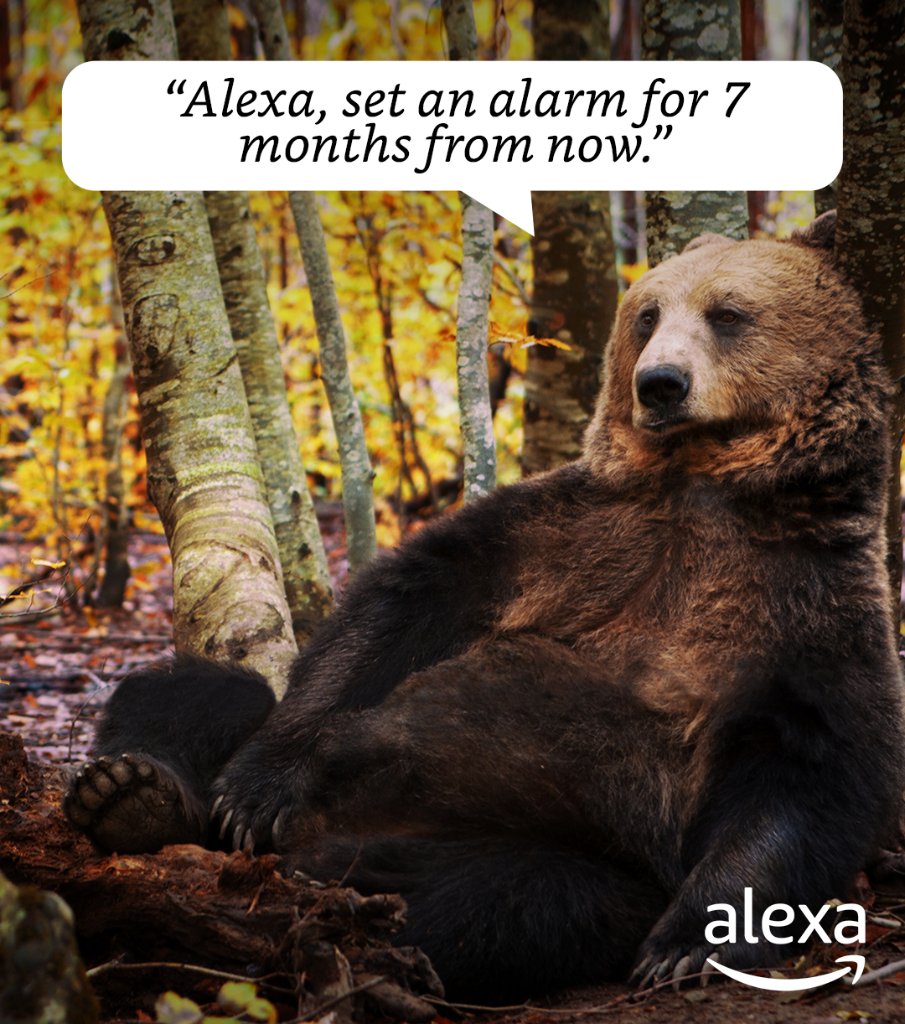 5 alexa 3