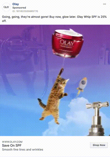 Olay1