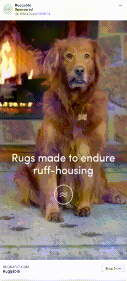 Ruggable4