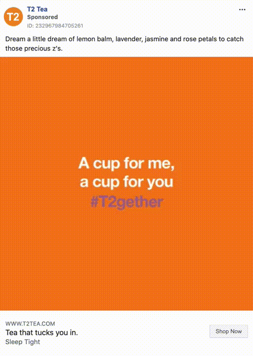 t2-tea-4