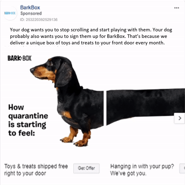 5 barkbox