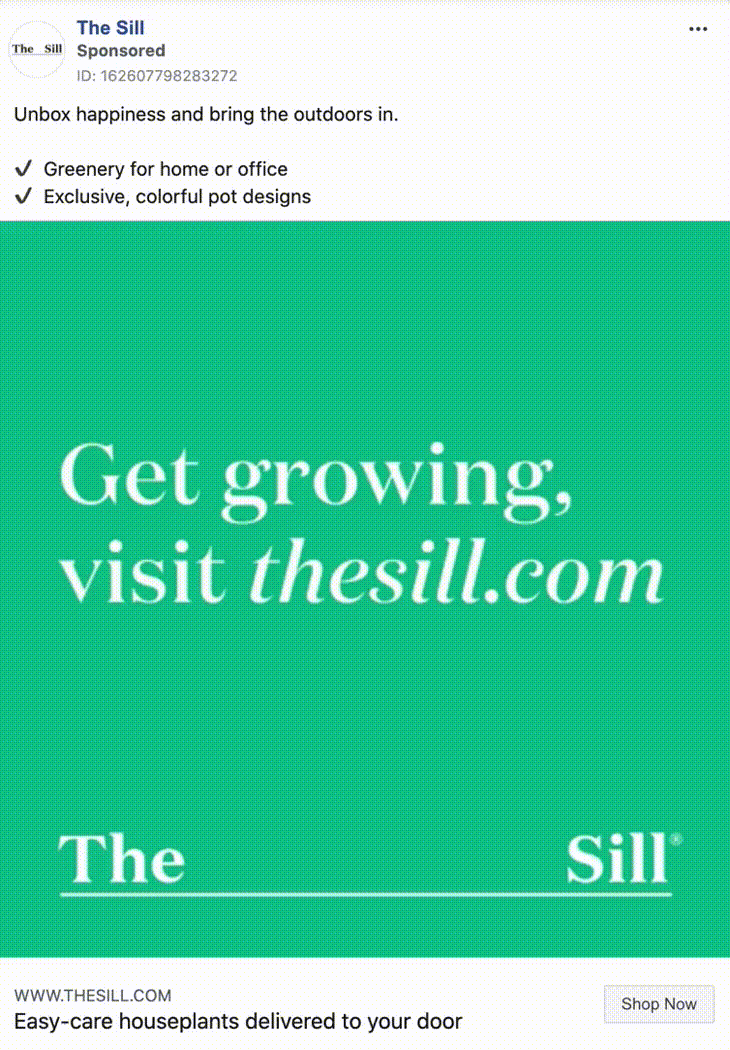 the-sill-2 (1)