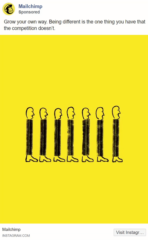 mailchimp gif 1