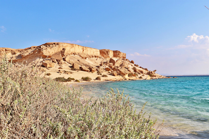 The Island