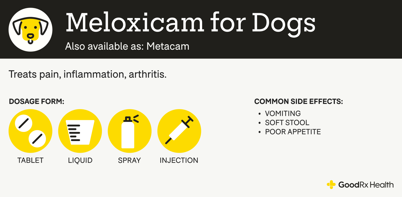 An infographic explaining Meloxicam for dogs, including its alternative names, uses, dosage forms, and common side effects.